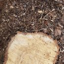 은평-008 이미지