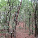 직2리마을회관 이미지