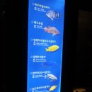 민물고기전시관 이미지