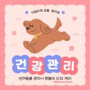 데일리독인천강아지분양