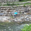 지리산중산리계곡펜션 이미지