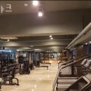팀샤크