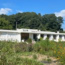 내북초 이식분교 | [보은 글램핑] 청주 근교 애견 동반 글램핑, 아쉬웠던 &#39;일상화 글램핑&#39;