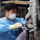 광장12호 이미지