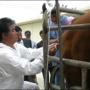 순이농장 이미지