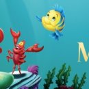 영비디오 이미지