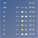 오월愛어울림콘서트 | 2025 그랜드민트 페스티벌 토요일 후기