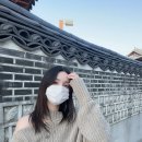 포레스트키친