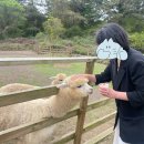 유순농장 네이버블로그