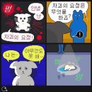 팡팡 이미지
