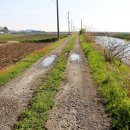 종천초등학교 이미지