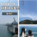 유람선 | 태종대 유람선 할인 꿀팁｜여행특공대 티켓으로 아이와 즐긴 은하수유람선 후기