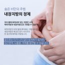 내장 지방 제거하기 이미지