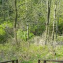 추곡초등학교 이미지