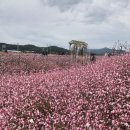 학여울펜션 | 10월1주차 철원여행 학여울펜션 / 학저수지둘레길