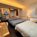 박스도로시 이미지