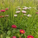 가야대역　 이미지