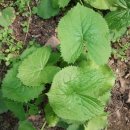 풍경시골 이미지