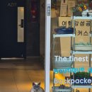 백팩커스펍&까페 이미지