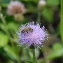 전곡항 공원 이미지