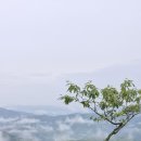 홍천팔봉산(목포지키미님 촬영) 이미지