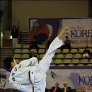 태성태권도체육관 이미지