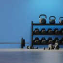 스파리스 이미지