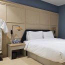 브라운도트 사직야구장점 이미지