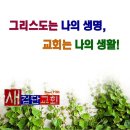 9와1집 이미지
