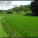 공주시탄천면덕지보건진료소 이미지