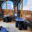 제주도토종흙돼지 이미지