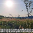 [성경필사] 주 예수 가장 귀한 그 이름 _ 2023.10.03 _ 화요일에 주신 말씀 이미지