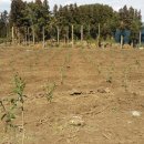 정환2농장 이미지