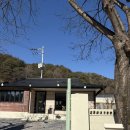 팔랑리 | 강원도 양구 감성 카페 도와온 내돈내산 후기-소금빵 글루텐프리 케익(12개월 아기랑)