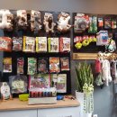 마이뷰티독 이미지