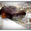 [제주여행]-천연동굴,명품다원과 함께하는 올레투어-[경덕 홈스프링스] 이미지