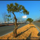 혁신도시 진입로 이미지