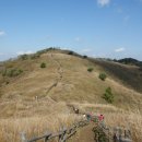 증산초교 이미지