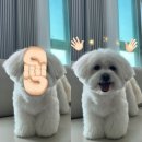 7월