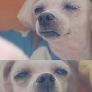 210118 네이버블로그