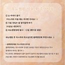 강동구 천호 속눈썹펌 맛집/추천: 연티끄 (후기&amp;사진ㅇ)