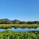 GR(장성군)-[삼동로]-상-1 | 광주근교 장성나들이 황룡강산책 / 장성 로컬 찐맛집 만금 과수원집 / 닭볶음탕