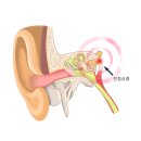 조은소리보청기서울지사 이미지