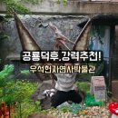 보석앤화석박물관(휴관) | 공룡덕후에게 추천하는 남양주 우석헌자연사박물관 (화석지우개 만들기 체험, 층별 안내 등)