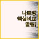 퀸베트남노래방 | 하바나 나트랑 호텔과 네이비 호텔 캄란, 나트랑 여행객을 위한 완벽 비교 가이드