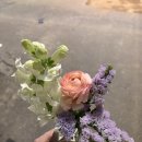 송이#(송이샵) | 홍대 무인 셀프 꽃집 텁( tub), 한 송이 꽃 선물 후기