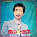 황소처럼 살련다 / 용민 (1973) 이미지