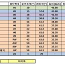 웨지 선택과 스윙밸런스,샤프트에 대한 문의. 이미지