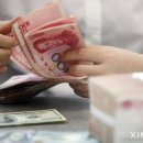 중국채 이미지