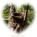 박달산 이미지